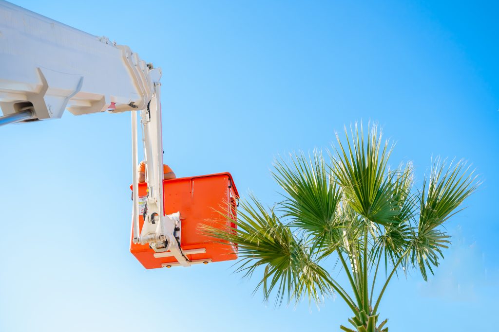 Forklift Training in Mississauga